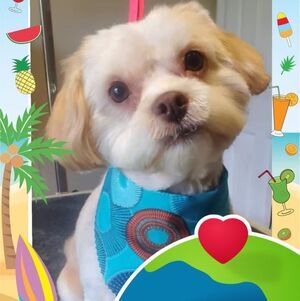 Meet your Posher, Stacey